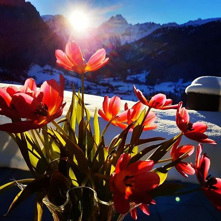Alpenpension Maderer Gaschurn Luaran gambar