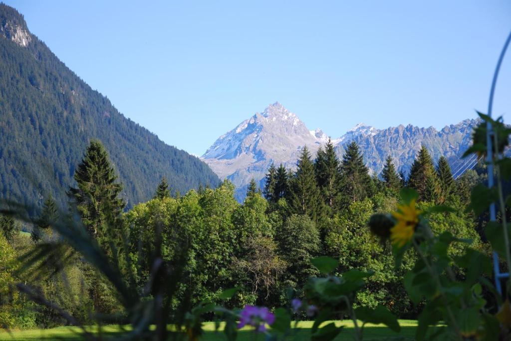 Alpenpension Maderer Gaschurn Luaran gambar