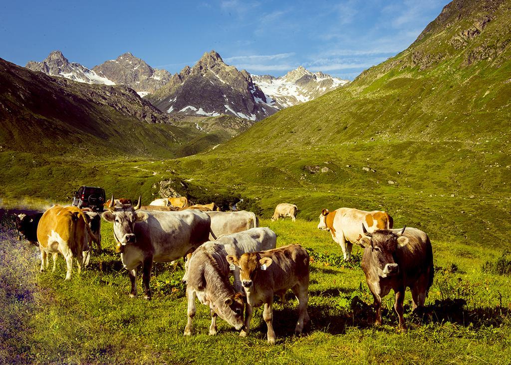 Alpenpension Maderer Gaschurn Luaran gambar