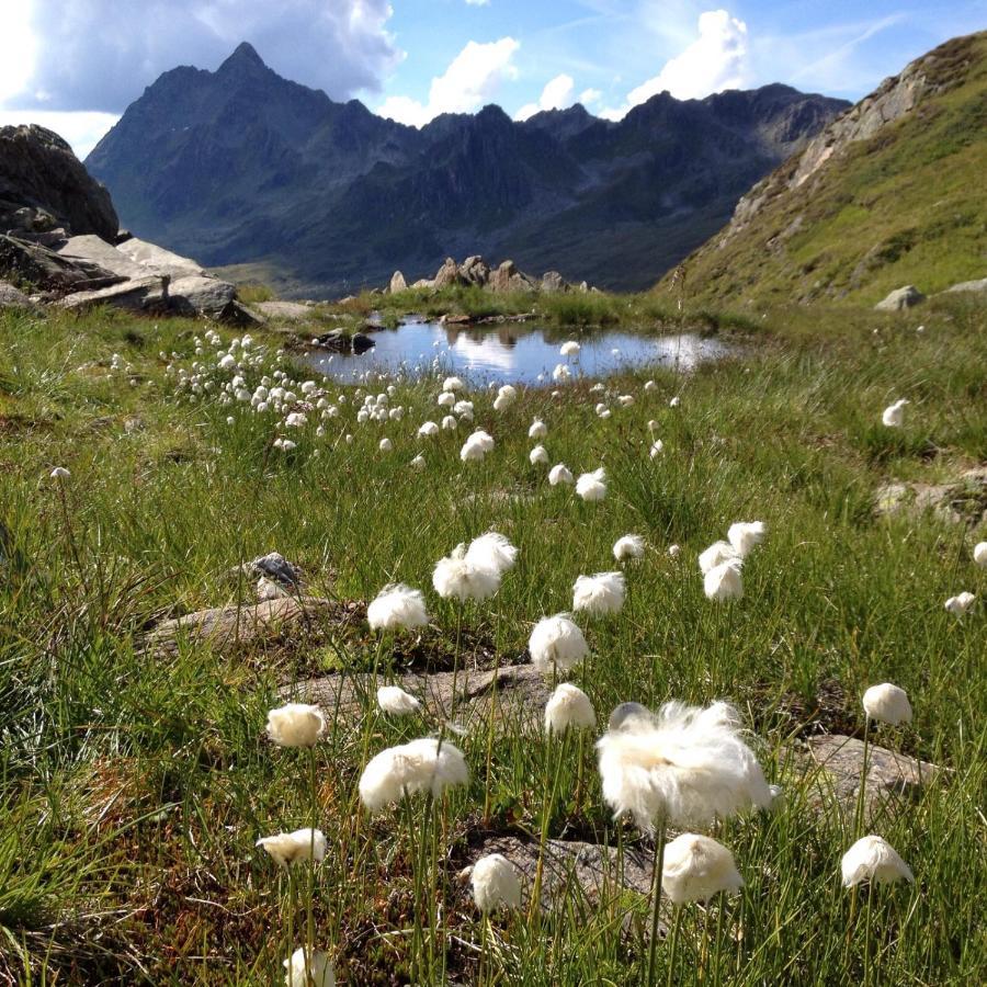 Alpenpension Maderer Gaschurn Luaran gambar